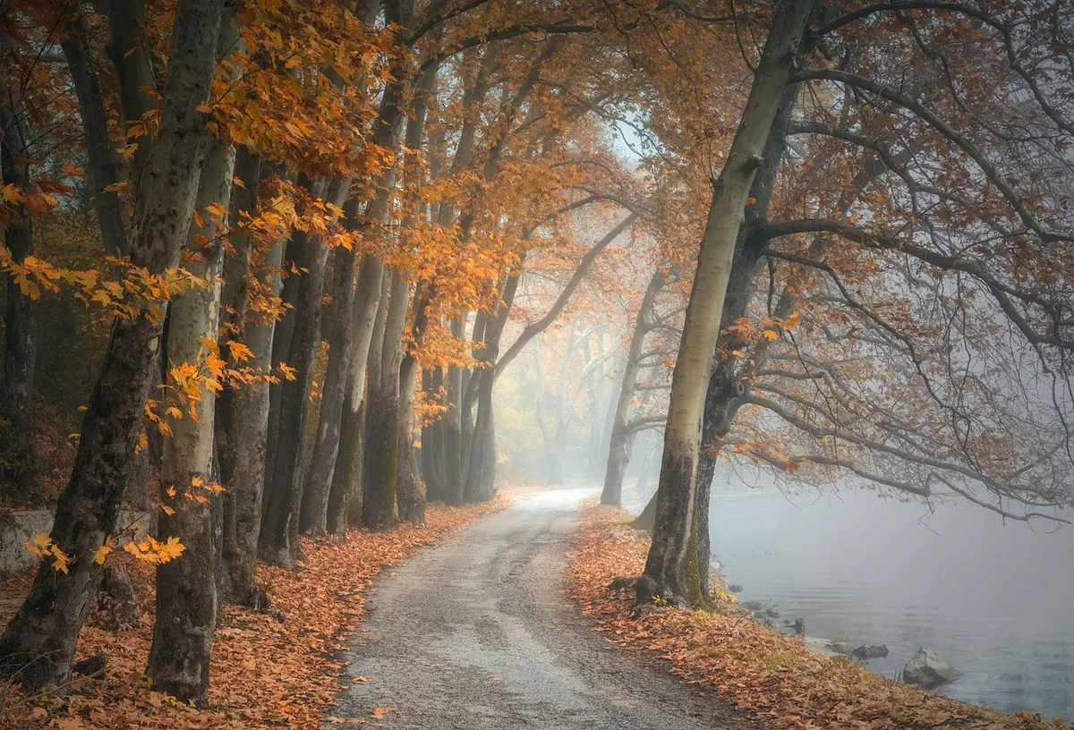 Aspen's Autumn Colour Walks: Best Local Routes and Times to Go